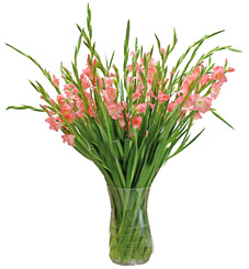 http://i05.c.aliimg.com/blog/upload//2009/06/19/2e1e5f51b9e05afebb2667db2fefe420.jpg