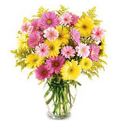 http://i05.c.aliimg.com/blog/upload//2009/06/19/30f60f74c0d65d9e23f1828d64d9f646.jpg
