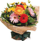 http://i05.c.aliimg.com/blog/upload//2009/06/19/ad55cf89a0c00631e6795fc4706a6179.jpg