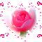 �ɰ��Ļ������Һ�����
