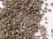 Coal Ash Pellet (CAP)--Light Weight Aggregate (LWA)