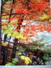   �غ��޻���
<br><br><br><br>    ������
<br><br><br><br>�ǹ�,��ˮ,������д��
<br><br><br><br> ����:100ƽ����
<br><br><br><br> �����:
<br><br><br><br>10000ƽ����
<br><br><br><br>    