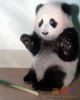 我知道错了不行么