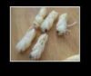 ��Ӧ��Ӽ��http://www.gthll69.com.cn/  �绰13308766115      