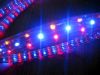 LED�ʺ�ܱ�����