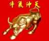 金牛定市
