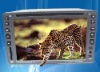 8620双定车载DVD,GPS导航,数字电视