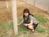 我在棚子里抓一个在手里,看看它们肚子里的籽是不是长大了,7--8成的蚂蚱肚子的籽都大了,就可以卖了,如果籽太小就再喂过3--5天就可以卖了.