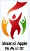 СLOGO-�Ǳ꣨��Ҫ���ã�������󹺴�����Ʒ�����磺����ñT���ȣ���2��Pcs/����ͼ+����+���ۡ� ���� ���ʲɹ� �� ��Ʒ ����Ʒ ��Ʒ