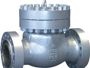  Check Valve 