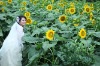 һ��Ҫ�Ҹ�Ŷ��ϲӭ2010�꣬2010�����n_n~~