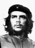 zhangbolun