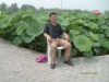 jianli8006�Ĳ���