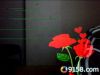 jing2744