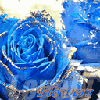 jn69999�Ĳ���