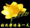 lsz789789789�Ĳ���