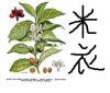 ���²���ͷ��