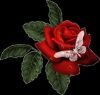 qiy163�Ĳ���