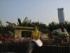 skybaihe�Ĳ���