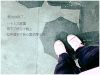 tjcshg�Ĳ���