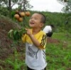 wangqiuboyuan�Ĳ���