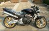 zhonglong1984�Ĳ���