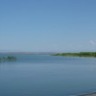��Աͷ��