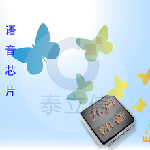 九齊語音芯片 IC NY5P185AW語音OTP訂 制 語音掩膜芯片