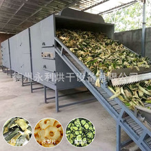 定制冬瓜皮烘干機 多層帶式梨片干燥設備 多種葯材果蔬烘干機加工