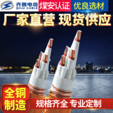 BBTRZ柔性礦物絕緣電纜  塑料絕緣電力電纜 生產廠家供應電線電纜