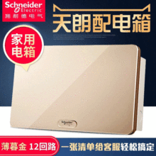施耐德配電箱天朗金色16回路強電箱家裝暗裝8/12位暗裝配電箱TLA