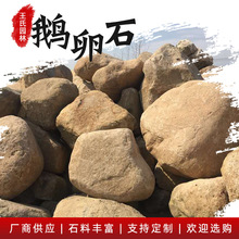 大型景觀鵝卵石水處理鞏固泥土綠地帶草坪裝飾點綴園林造景石批發