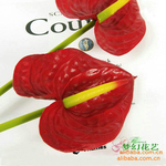 批发供应仿真花(高仿单枝红掌)