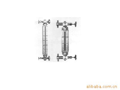 玻璃管式液位計