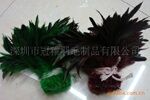 供应特殊羽毛原料,色彩美观天然羽毛,高温消毒羽毛