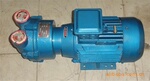 2BVA系列水环式真空泵,保修一年,品牌盛飞,功率3.85KW