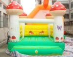 ��Ӧ���ֳߴ����ɫ�ĳ����Ǳ���3������