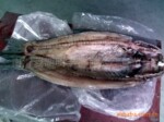 ��Ӧһβ��5�������ϵ����㣬�ʺ������