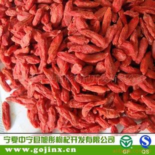 全国招商供应干枸杞 枸杞干果 宁夏枸杞 宁夏特产代理