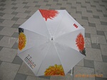 雨伞/自动伞/广告伞/雨伞/直骨自动伞/广告促销伞/广州雨伞厂