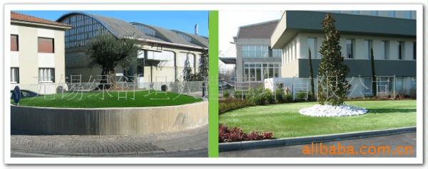 wxlst01.cn.alibaba.com__3tb_10