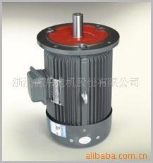 ����ֱ���Ϻ��¶������Y132S-4��5.5KW�������첽�綯��