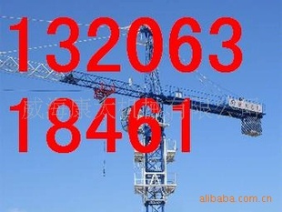 Ӧ5013tower craneػ