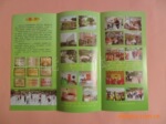 专业制作A级铜板纸折页印刷价格优惠质量好