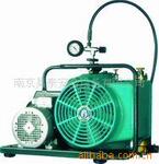 ��Ӧ��ѹѹ�����������JUNIOR II E-H(ͼ)