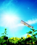 【New】一体化太阳能路灯 天使眼太阳能路灯 一体化太阳能庭院灯
