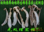 ��˫�����ز� �ȴ����־��� �𸣹� �ɻ�
