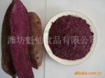 ��Ӧ������