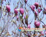��Ӧ����������������������