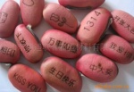 专业工厂---广告礼品定做--魔豆